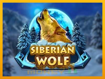 Cihazda oyna Siberian Wolf ve para kazan